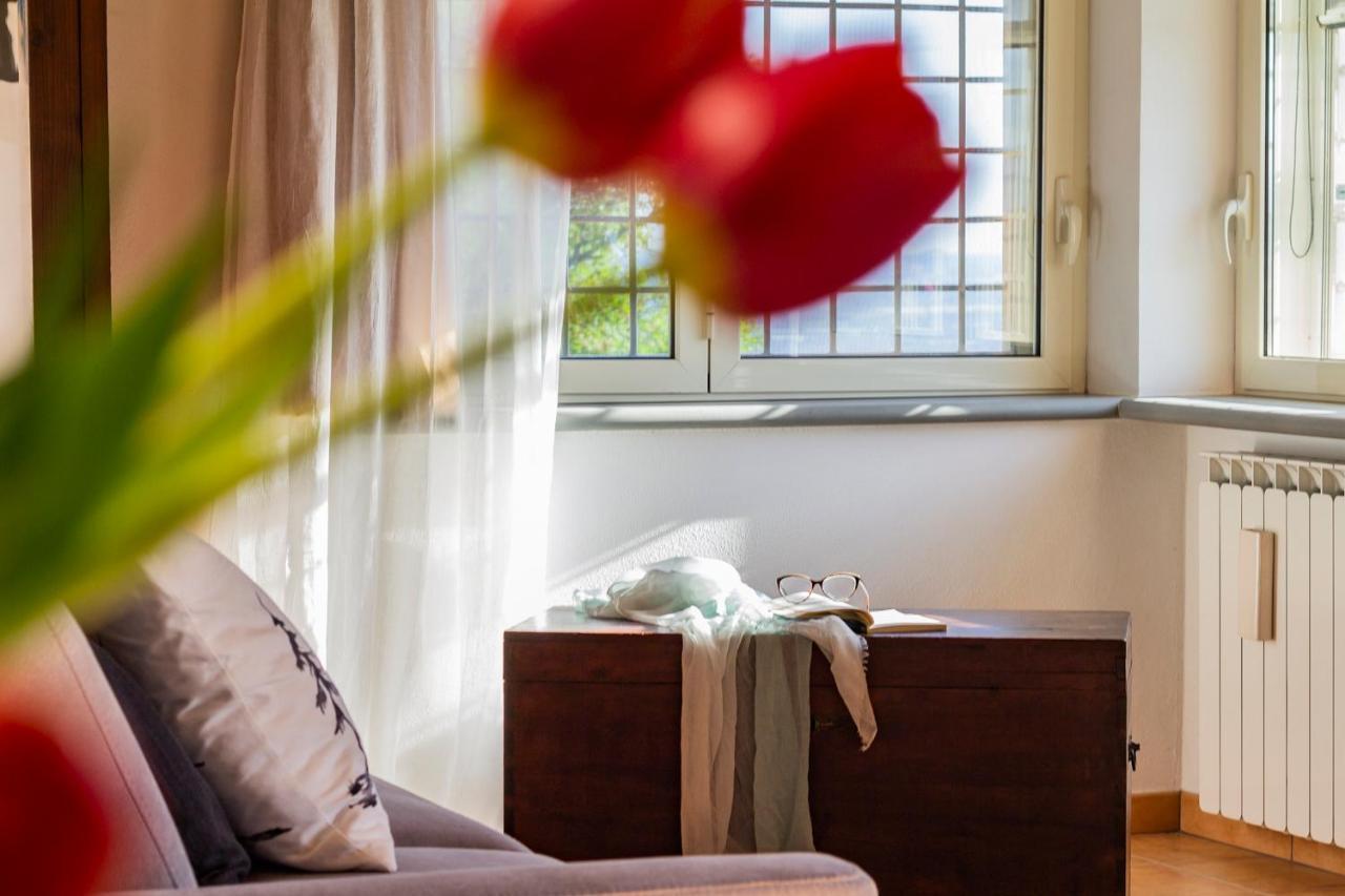 Casale Le Brecce B&B Otricoli Ngoại thất bức ảnh
