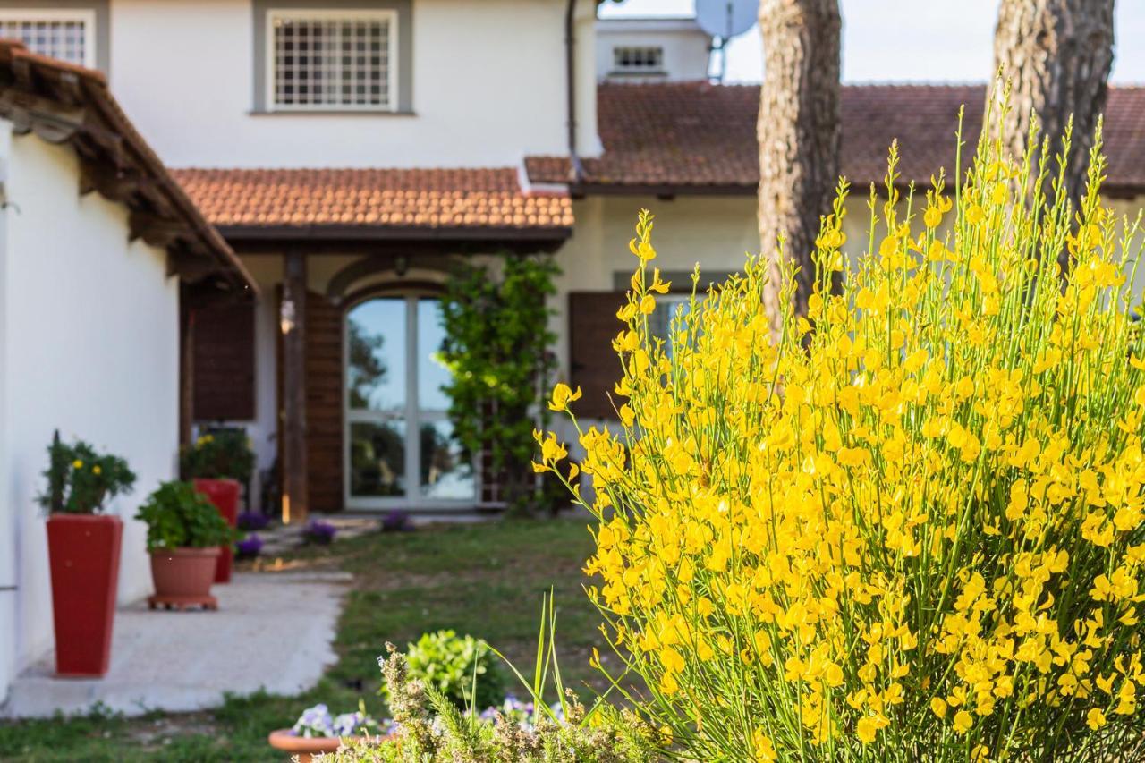 Casale Le Brecce B&B Otricoli Ngoại thất bức ảnh