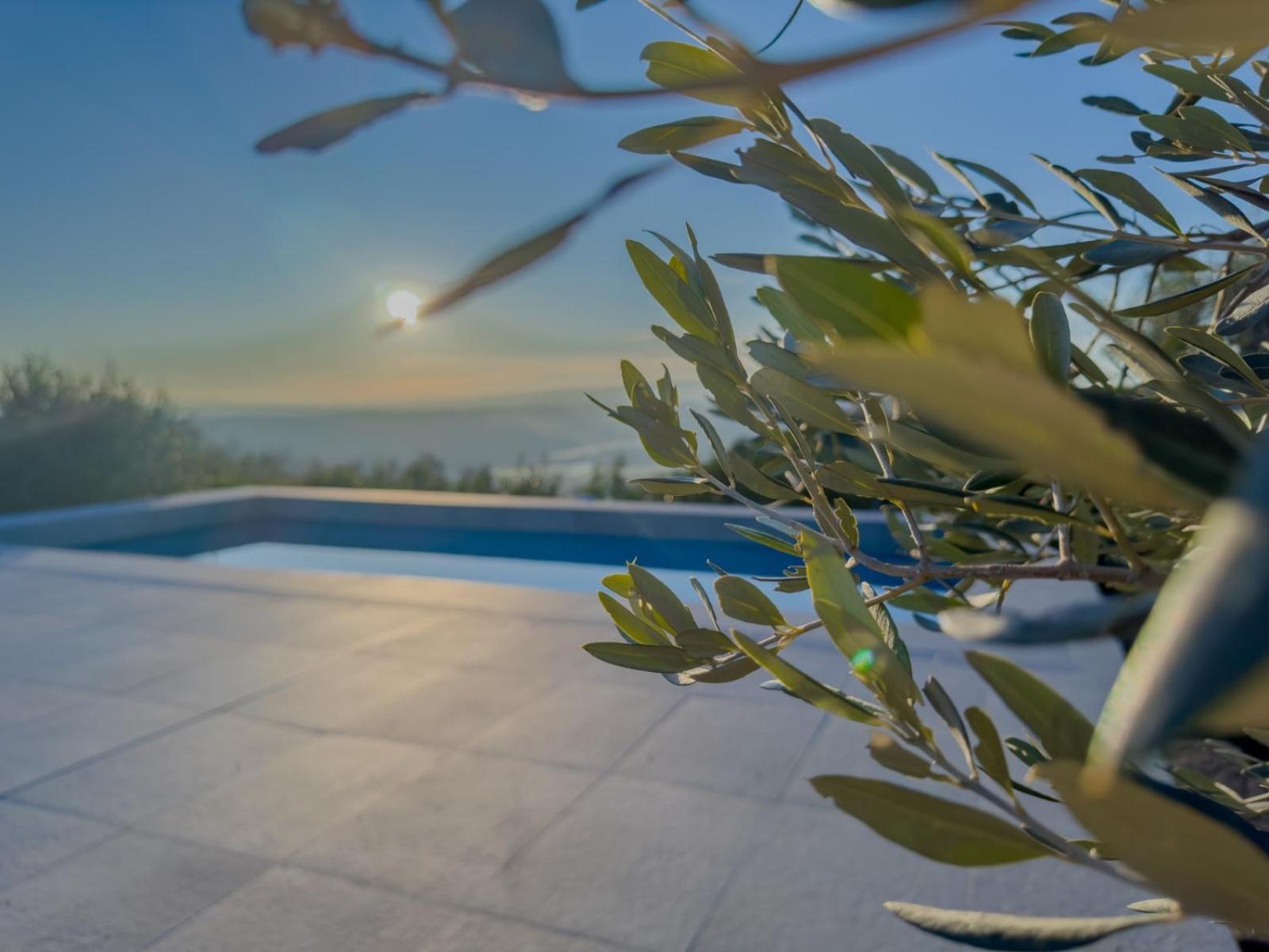 Casale Le Brecce B&B Otricoli Ngoại thất bức ảnh